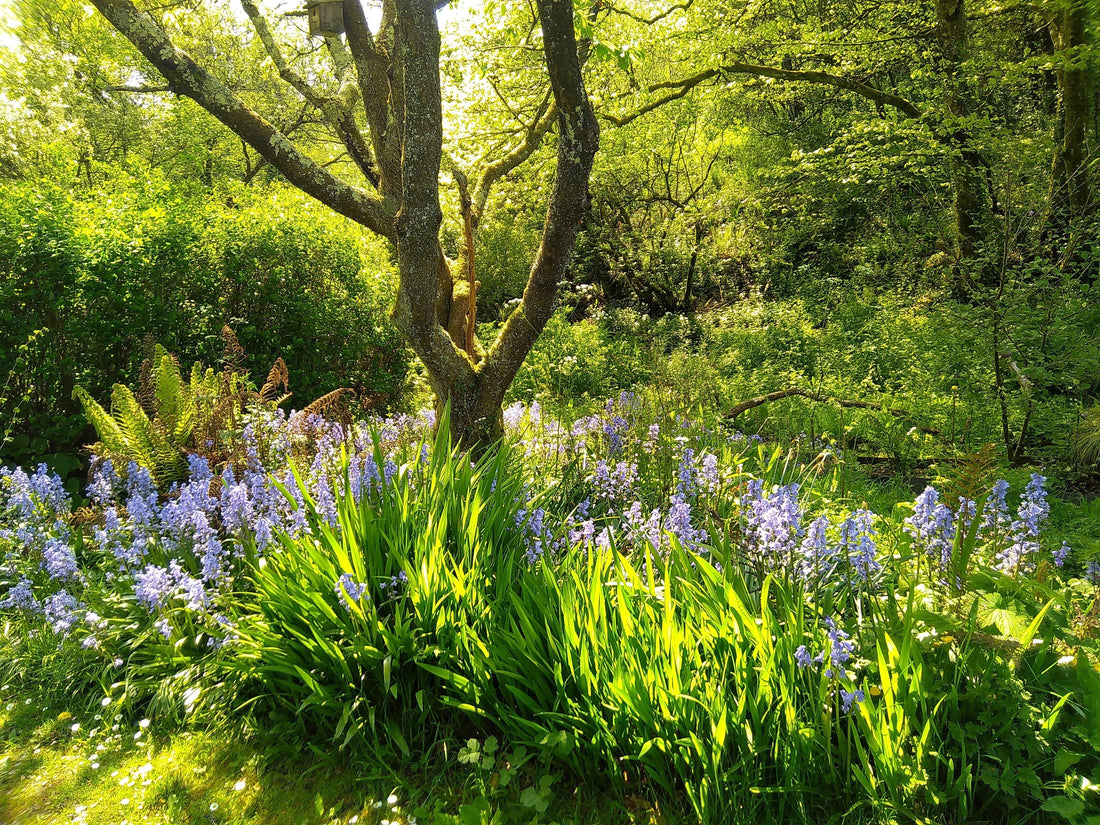 Climate-resilient gardening, AI-style!