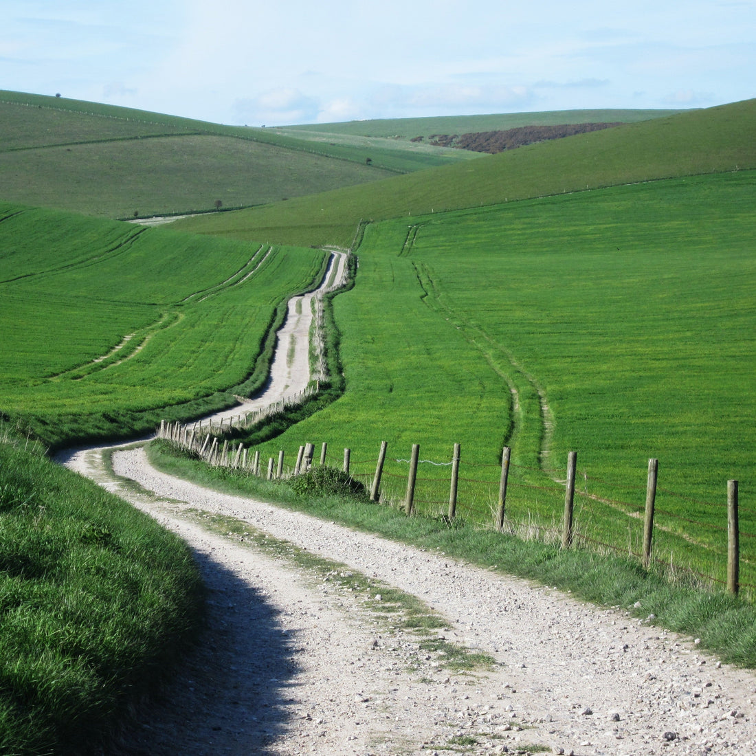 1 in 5000 landscape photos make the grade!