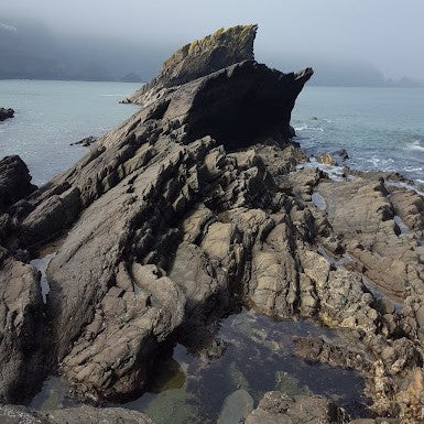 Landscape Photos
